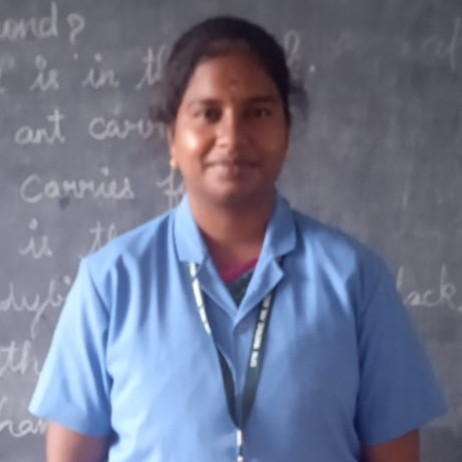 Teacher